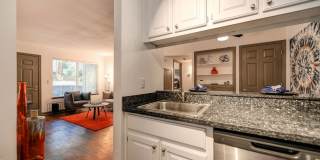 Lake Pointe Apartments Gallery 10