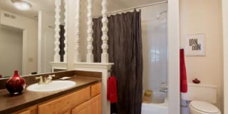 TGM Autumn Woods Gallery 14