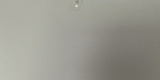 Wilshire Apartments (Wilshire 23 LLC) Gallery 7