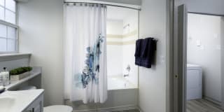 Evergreen Terrace Gallery 11