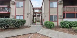 5462 Adobe Falls Rd #8 Gallery 1
