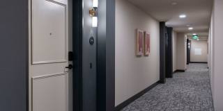 The Tolman Gallery 19