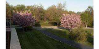 Spacious townhouse, walk to METRO, pool, parking, all you could want! Gallery 11