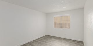 Corona Del Sol Gallery 11