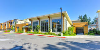 Madison Bellevue Gallery 30