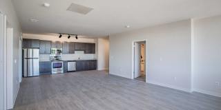 Amber Union Gallery 24