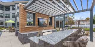 Canter Green Gallery 41