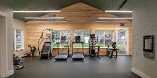 ReNew Dash Point Gallery 50