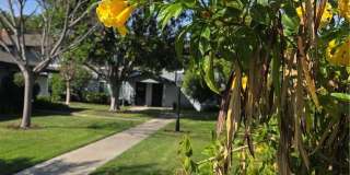 1107 W Memory Lane Gallery 29