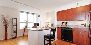474 North Lake Shore Dr. Gallery 5