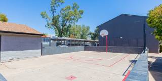 Maryland West Gallery 20