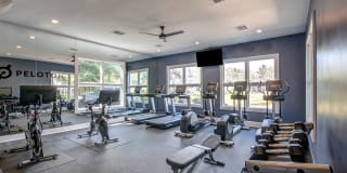 Westfield Village Gallery 11