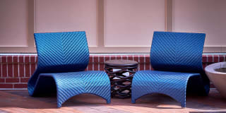 Evolution at Towne Centre Gallery 8