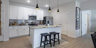 Waterleaf at Cold Springs Gallery 12