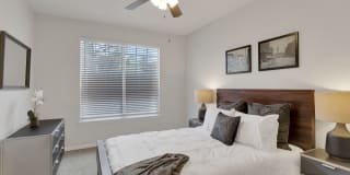 Timber Creek Gallery 12