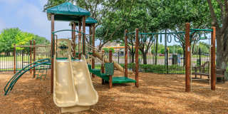 Westchase Forest Gallery 3