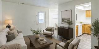 Springwood Gallery 10