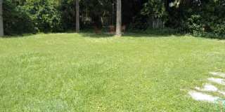 Lake Shore Village Gallery 7