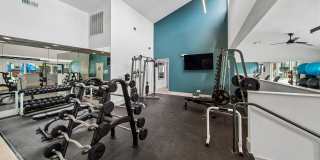 ReNew Pinehurst Gallery 28