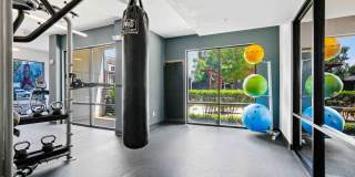 The Patton Gallery 19