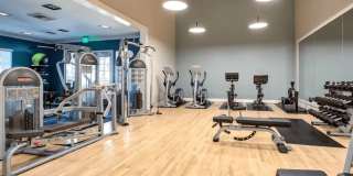 Waterstone Media Center Gallery 16