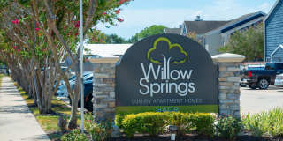 Willow Springs Gallery 28