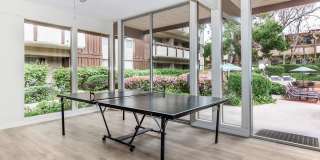 Emerald Victoria Apartments Gallery 8