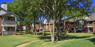Bear Creek at Harwood Gallery 18