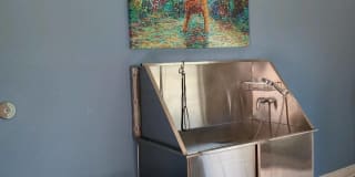 Longhorn Crossing Gallery 27