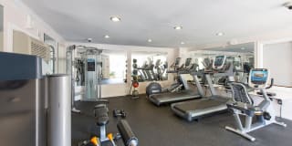 Tuscarora Creek Gallery 8