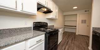 Sentinel of Conway Gallery 4