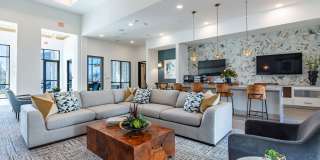 Ariza Scott BLVD Gallery 2