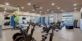 Aspire at Flamingo Grand Gallery 46