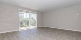 Bellevue Towers Gallery 124