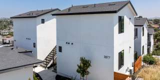 Boren St Gallery 388