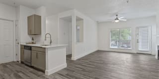 The Ashton Apartments Gallery 5