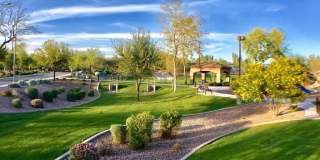 Exquisite Chandler 4 bed 3 bath home with Community Pool!! Gallery 17