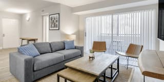 Coconut Palm Club Gallery 51