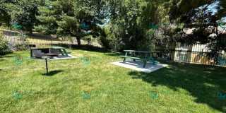 3901 Clear Acre Lane Gallery 18