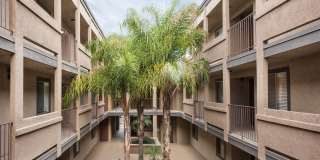 Elan View Pointe Gallery 13