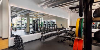 Biscayne 112 Gallery 21