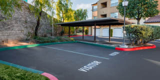 Paseos At Magnolia Luxury Apartment Homes Gallery 115