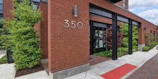 350 E Short Street unit: 211 Gallery 1