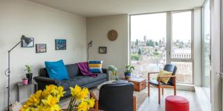 Decibel Apartments Gallery 8