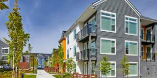 Anthology Apartments Gallery 29