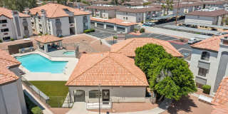 Twin Palms Gallery 28