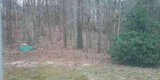 311 Halls Mill Drive Gallery 2