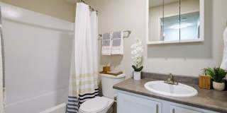 Terra Apartments Gallery 6