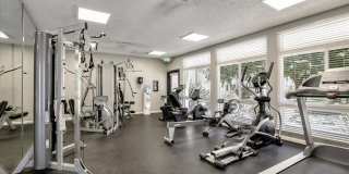 Santa Teresa Gallery 5