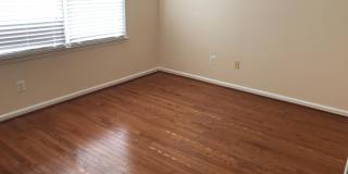 22008 IVY LEAF Drive Gallery 14